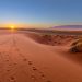 Les secrets du désert du Kalahari : un safari hors des sentiers battus