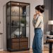 Magasin meuble vitré : comment choisir le bon modèle pour votre intérieur
