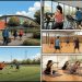 Tout savoir sur asptt albi : activités et inscriptions