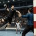 Amiens handball club : actualités, résultats et informations pratiques